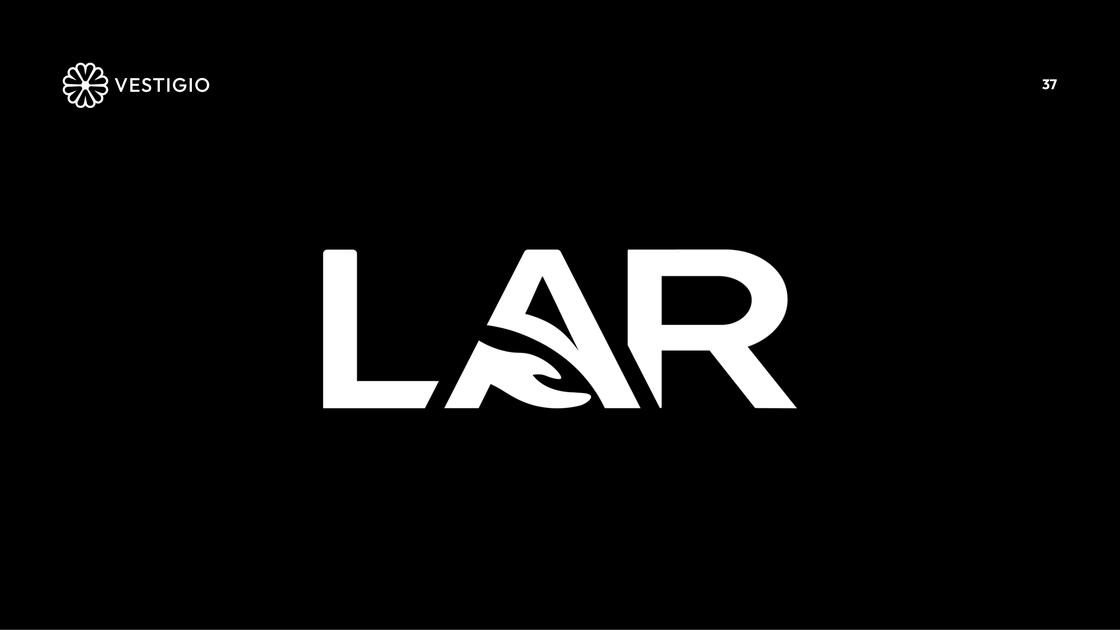 Presentación tesis LAR — 37/55